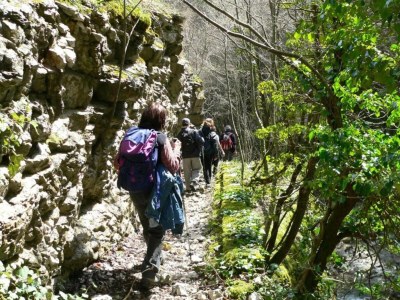 Holiday house Geräumiger Rückzugsort auf dem Land - Environment photo 30