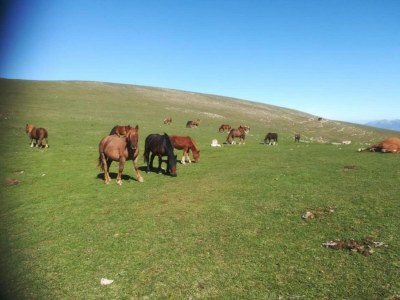 Holiday house Geräumiger Rückzugsort auf dem Land - Environment photo 32