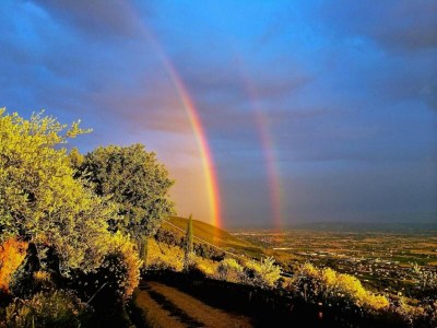 Villa Haus-Nr: IT-06033-01 - Environment photo 30