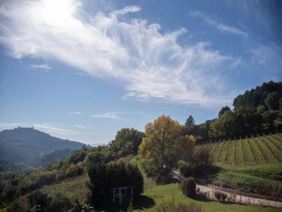 Villa Haus-Nr: IT-06033-01 - Environment photo 32