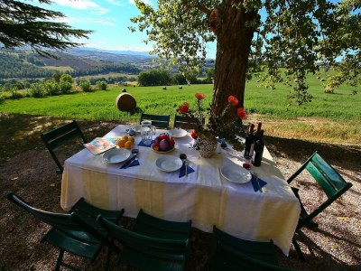 Farmhouse Tranquil Haven in Todi Countryside - Outdoor photo 11