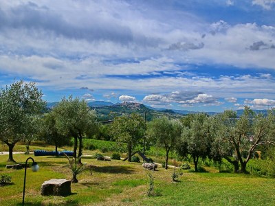 Farmhouse Tranquil Haven in Todi Countryside - Environment photo 40