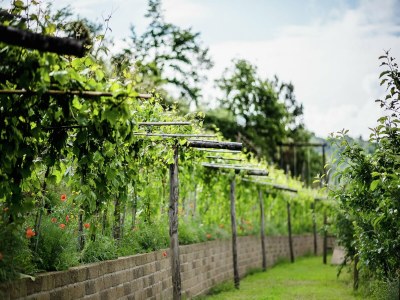 Holiday house Ferienhaus in Paciano am Trasimenischen See - Outdoor photo 18