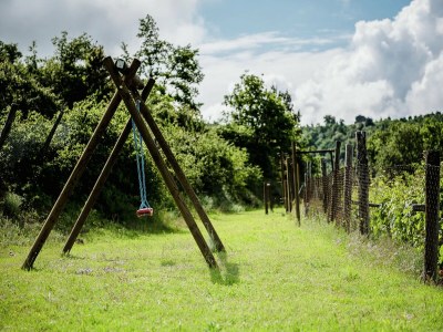 Holiday house Ferienhaus in Paciano am Trasimenischen See - Outdoor photo 40