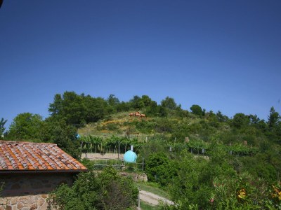 Farmhouse Bauernhaus in Paciano im Monte Pausillo Park - Outdoor photo 8