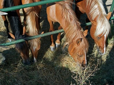 Farmhouse Bauernhaus in Paciano im Monte Pausillo Park - Outdoor photo 33