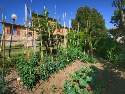 Farmhouse Bauernhaus in Paciano im Monte Pausillo Park - Outdoor photo 35