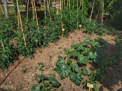 Farmhouse Bauernhaus in Paciano im Monte Pausillo Park - Outdoor photo 38