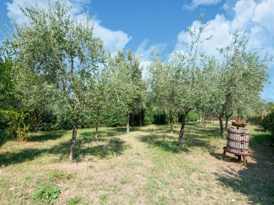 Farmhouse Belvilla by OYO Large Farmhouse with Pool - Environment photo 30