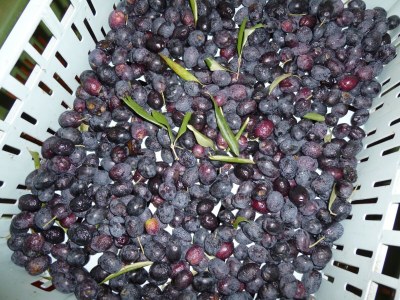 Farmhouse Bauernhaus Umbrien-Toskana mit Pool - Outdoor photo 34