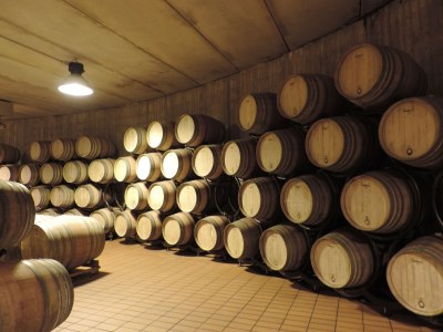 Farmhouse Villa in Città della Pieve am See - Environment photo 36