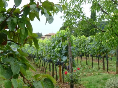 Farmhouse Malerisches Bauernhaus mit Pool - Environment photo 35