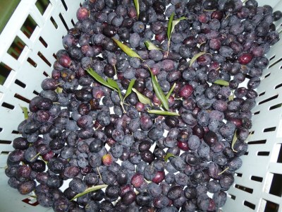 Farmhouse Farmhouse in Città della Pieve with Pool - Environment photo 37