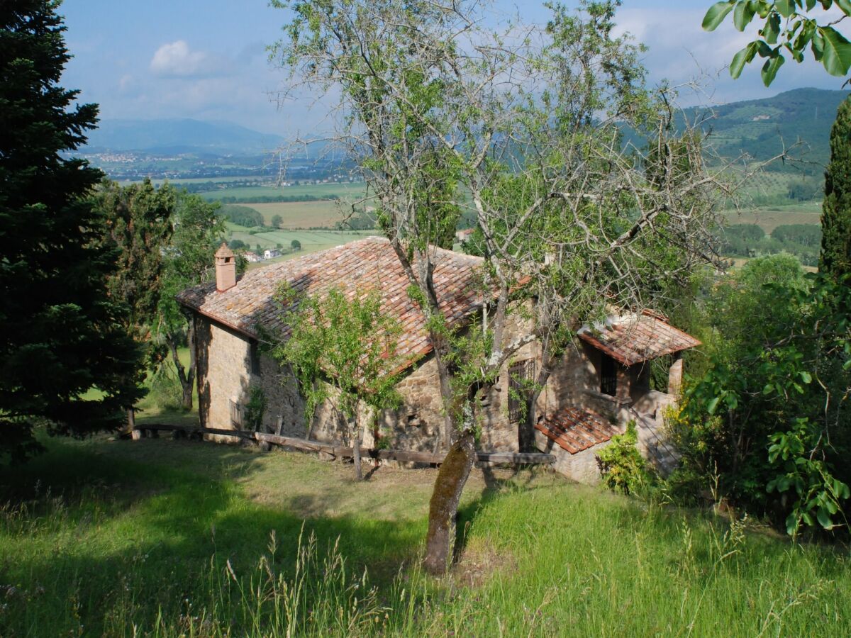 Cottage Mansion in Magione near Zocco Beach - Outdoor photo 3