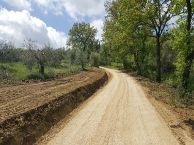 Cottage Mansion in Magione near Zocco Beach - Environment photo 25