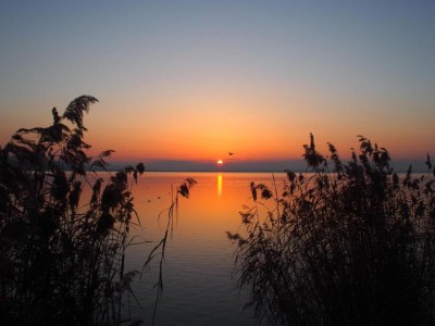 Cottage Mansion in Magione near Zocco Beach - Environment photo 30