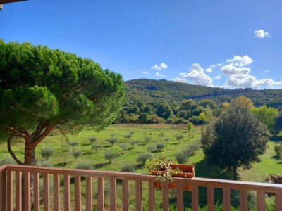 Cottage Mansion in Magione near Zocco Beach - Environment photo 34