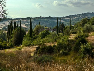 Cottage Mansion in Magione near Zocco Beach - Environment photo 35