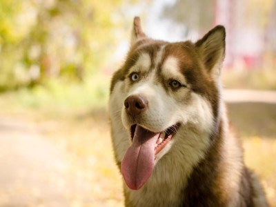 Cottage Mansion in Magione near Zocco Beach - Outdoor photo 37