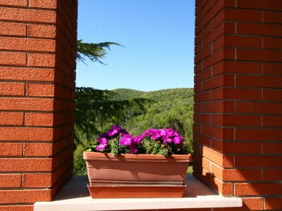 Holiday house Holiday home in Magione above lake Trasimeno - Outdoor photo 4