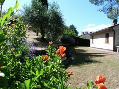 Holiday house Holiday home in Magione above lake Trasimeno - Outdoor photo 5