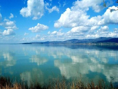 Holiday house Holiday home in Magione above lake Trasimeno - Environment photo 29