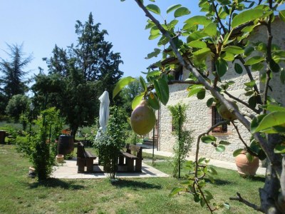 Holiday house Stay with Local Flavors - Outdoor photo 4