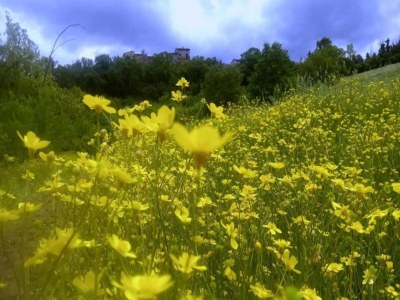 Holiday house Stay with Local Flavors - Environment photo 32