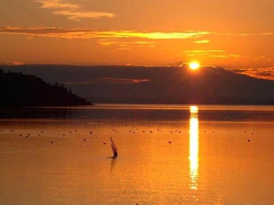 Holiday house Stay with Local Flavors - Environment photo 35