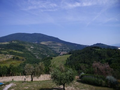 Holiday house Ferienhaus mit Pool in der Nähe von Assisi - Outdoor photo 12