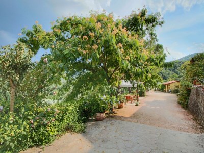 Holiday house Cottage in Bettona with Pool & Near Assisi - Outdoor photo 5