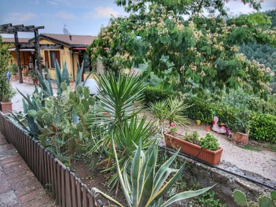 Holiday house Cottage in Bettona with Pool & Near Assisi - Outdoor photo 8