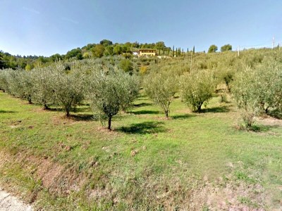 Holiday house Cottage in Bettona with Pool & Near Assisi - Environment photo 32