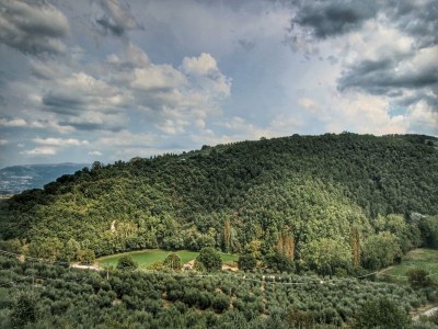 Holiday house Cottage in Bettona with Pool & Near Assisi - Environment photo 34