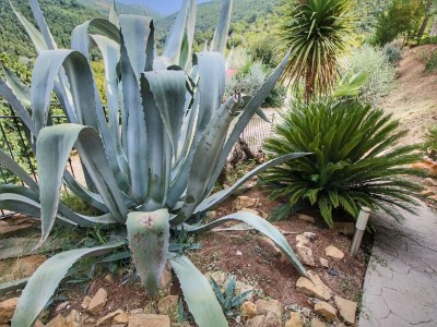 Holiday house Cottage in Bettona with Pool & Near Assisi - Outdoor photo 36