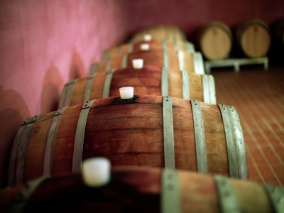 Cottage Umbrisches Herrenhaus, umgeben von Weinbergen - Environment photo 34