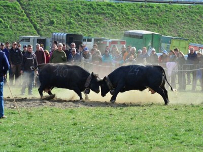 Apartment Wohnung in Antey nahe Skiliften - Environment photo 35