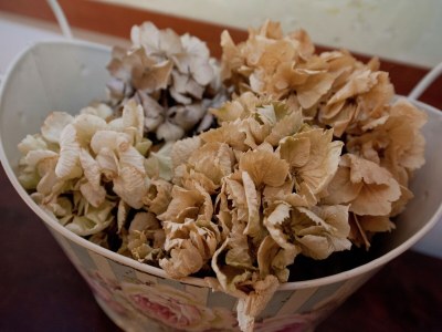 Castle Ein romantischer Rückzugsort in Rocca - Outdoor photo 35