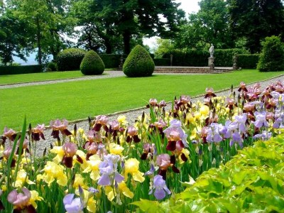 Castle Ein Schlossaufenthalt im Weinland - Outdoor photo 13
