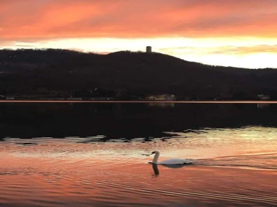 Castle Ein Schlossaufenthalt im Weinland - Environment photo 34