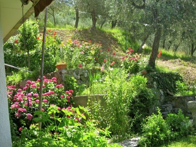 Holiday house Escape Near Cinque Terre - Outdoor photo 6