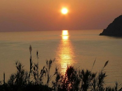 Holiday house Escape Near Cinque Terre - Environment photo 36