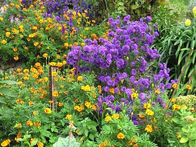 Holiday house Escape Near Cinque Terre - Outdoor photo 40