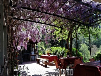 Bungalow Bungalow in Sestri Levante in der Nähe des Waldes und des Meeres - Outdoor photo 38