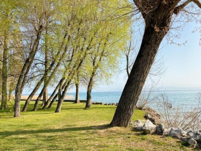 Apartment Lakeside Stay in Sirmione - Environment photo 26