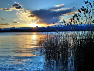 Apartment Lakeside Stay in Sirmione - Environment photo 29