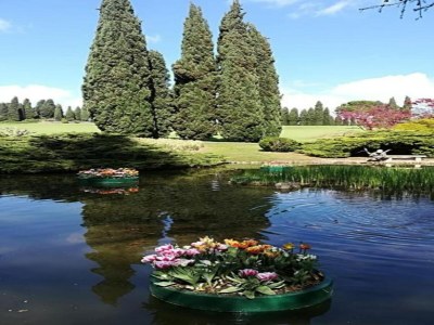 Apartment Apartment in Vello by Lake Iseo Beach - Environment photo 30