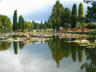 Apartment Apartment in Vello by Lake Iseo Beach - Environment photo 31