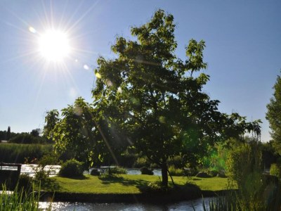 Apartment Apartment in Vello by Lake Iseo Beach - Environment photo 33