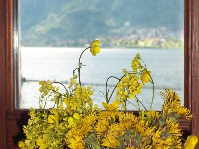 Holiday house Cottage in Parole near Forest and Lake - Outdoor photo 40